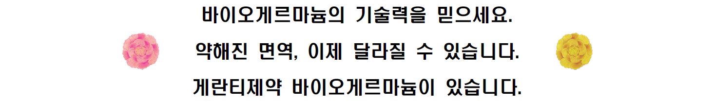 질의응답