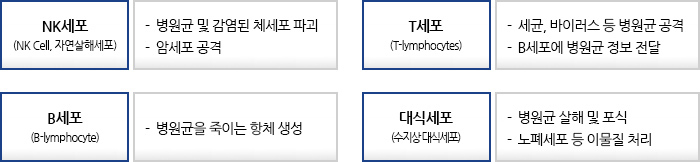 질의응답