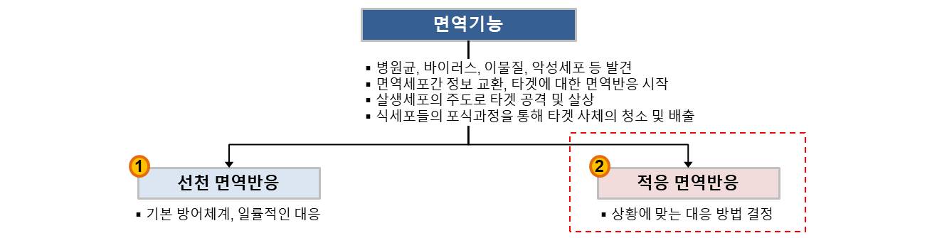 질의응답