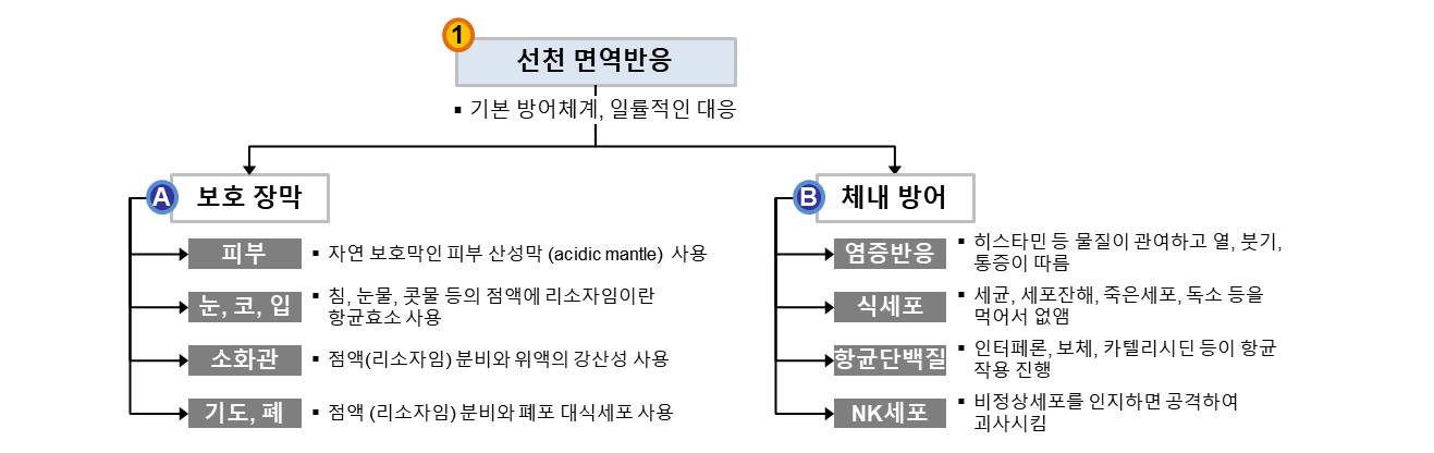 질의응답