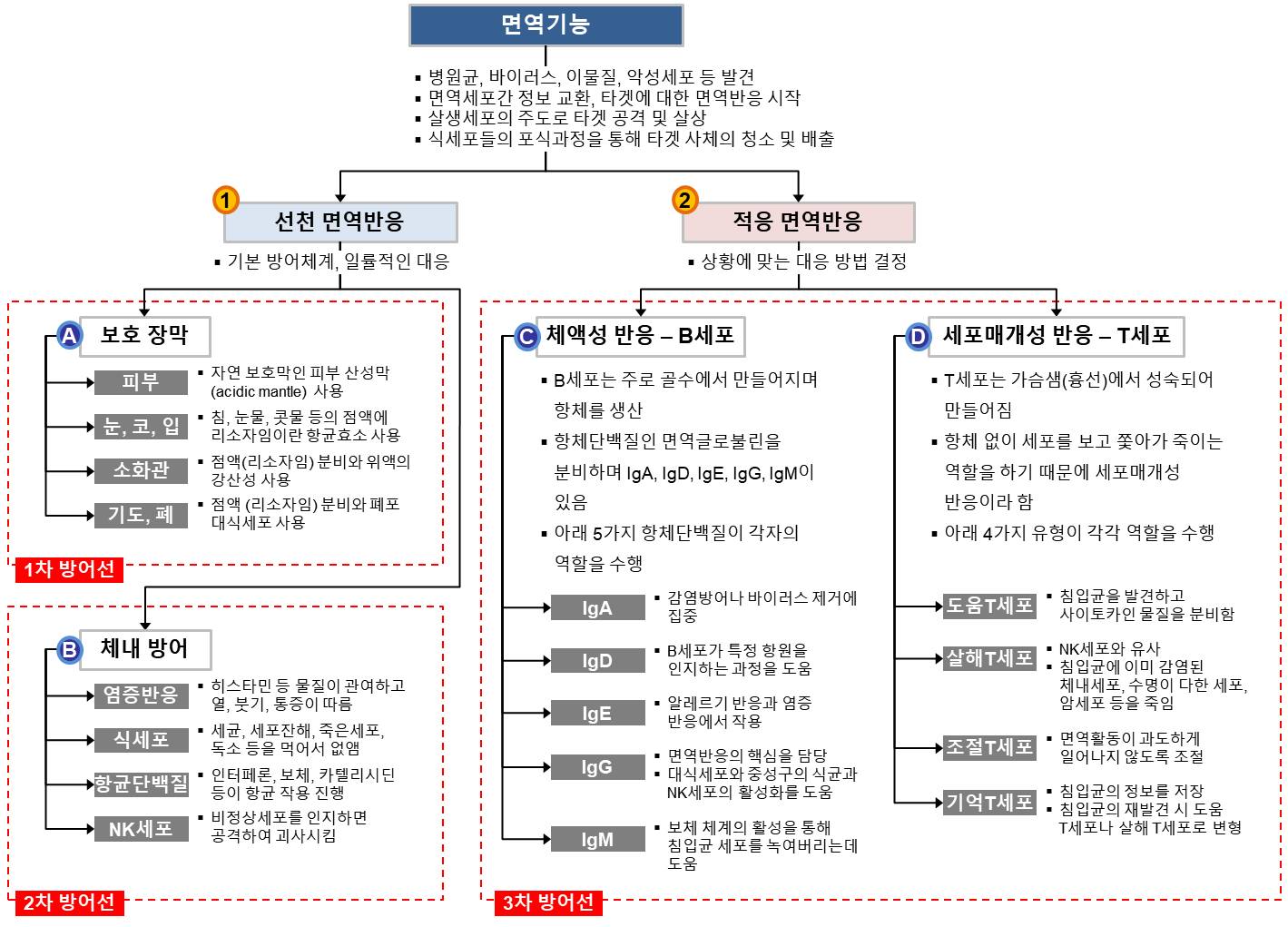 질의응답