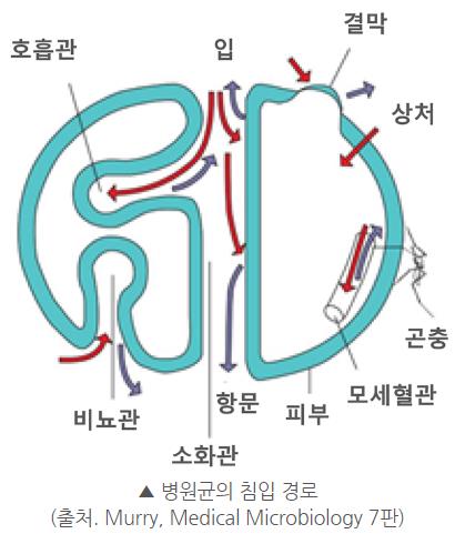 질의응답
