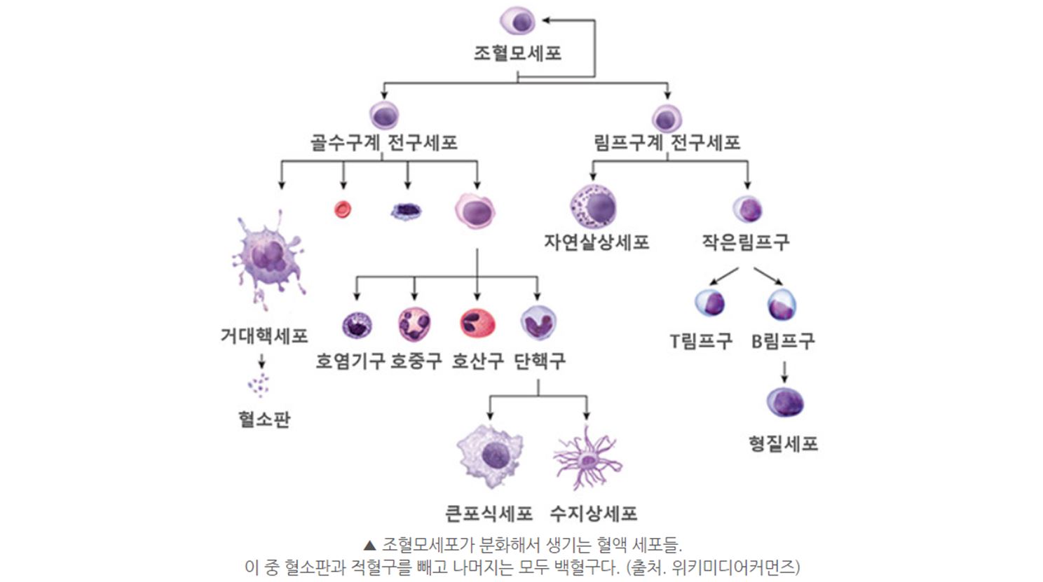 질의응답