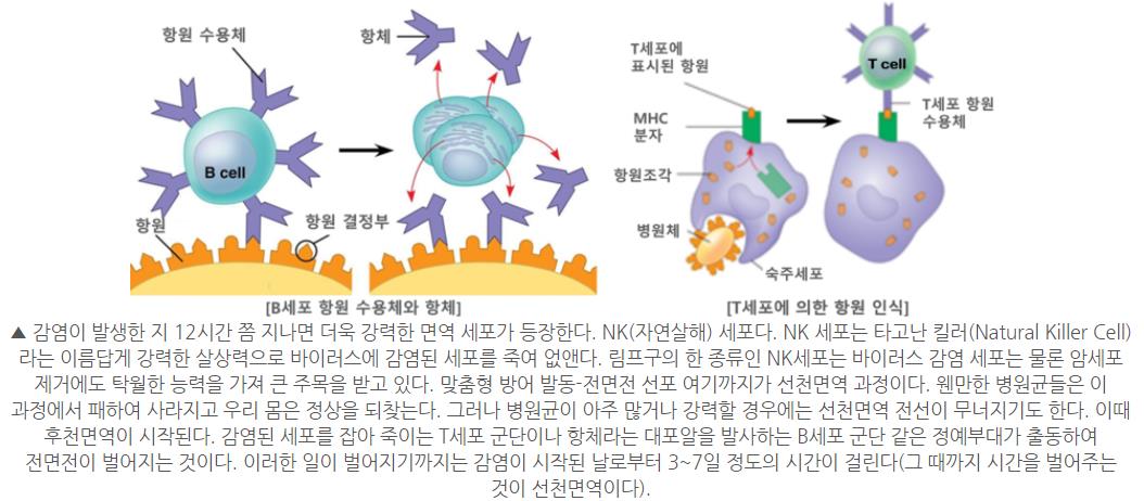 질의응답