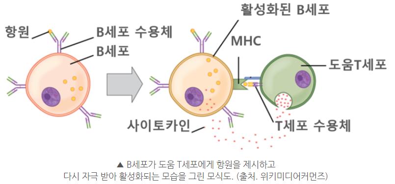 질의응답