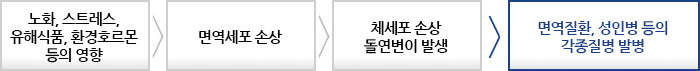 질의응답