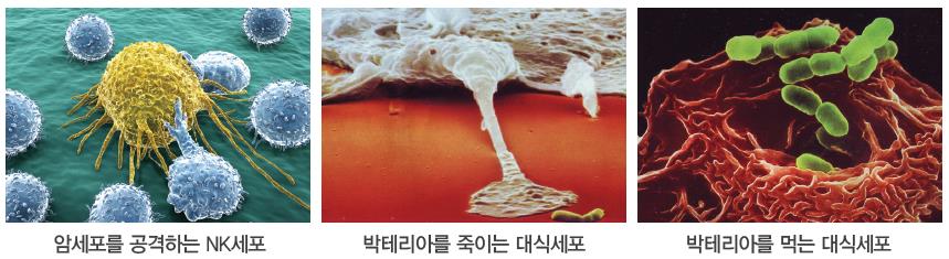 질의응답