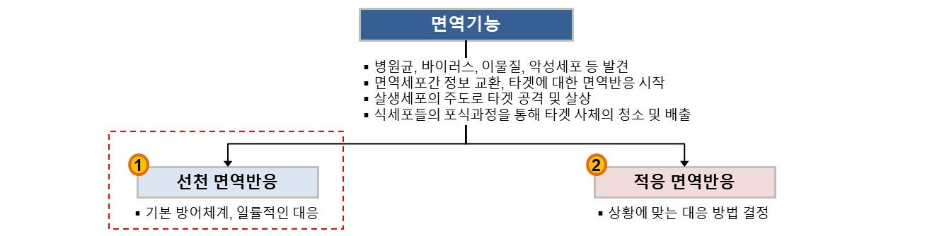 질의응답