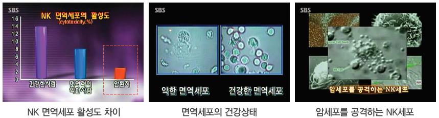 질의응답