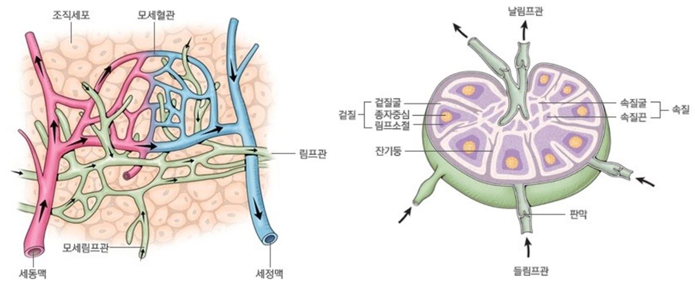 질의응답