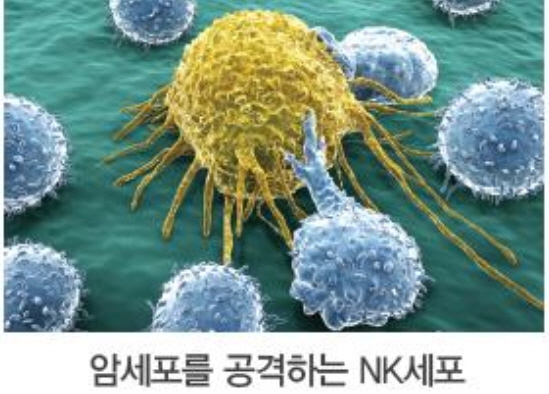 질의응답