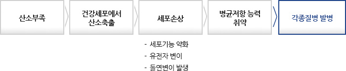 체내 산소의 중요성